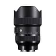 SIGMA 14 24mm F2.8 DG DN | A Vertical E Mount With Hood