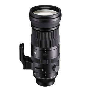 Sigma 150-600mm f/5-6.3 DG DN OS Sports (L-mount)
