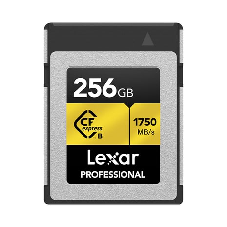 Lexar256Gold