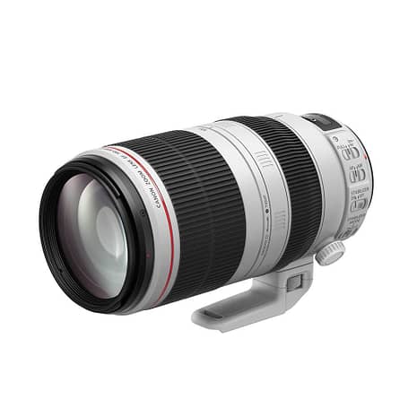 Canon EF 100-400mm f/4.5-5.6 L IS II USM