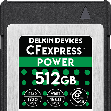 Delkin512gb