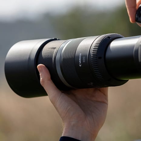 EOSR6 & RF600mm-Lifestyle-002