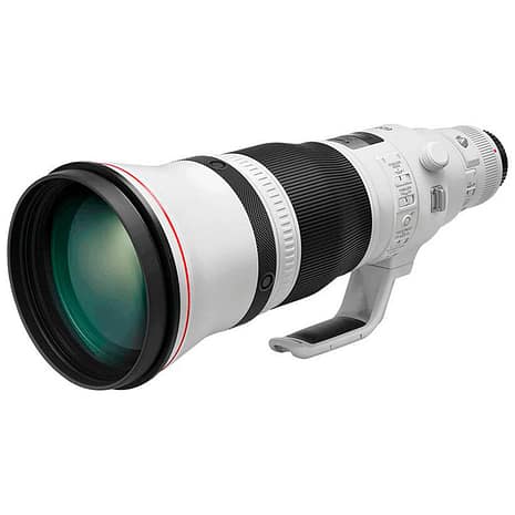 ef-600mm-f4l-is--ii_hero_810x475_877036929295771.png