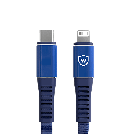 USB C To Lightning Blue
