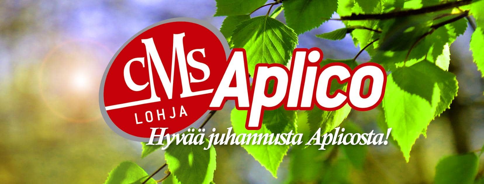 Aplicon juhannus - Aplico