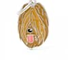 Nimilaatta - Briard