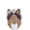 Nimilaatta - Collie