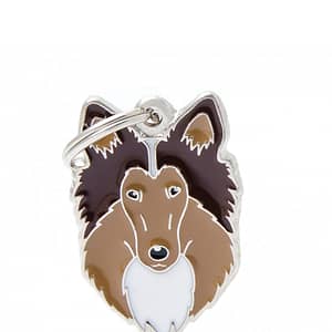 Nimilaatta kaiverruksella - koirarotu-nimilaatta collie