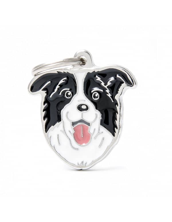 Nimilaatta kaiverruksella - koirarotu-nimilaatta bordercollie