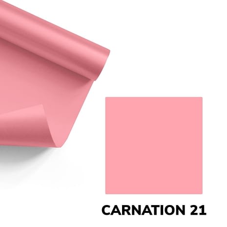 CARNATION_2019