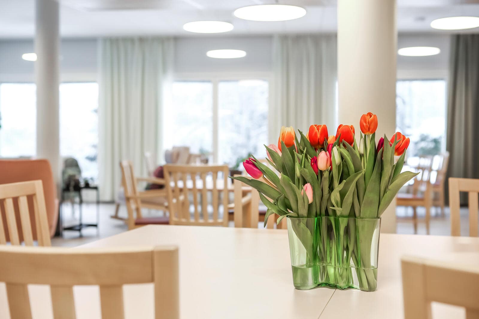 Harjuksessa tulppaanit ilahduttavat.