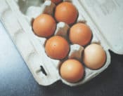 Kananmunia munakennossa.