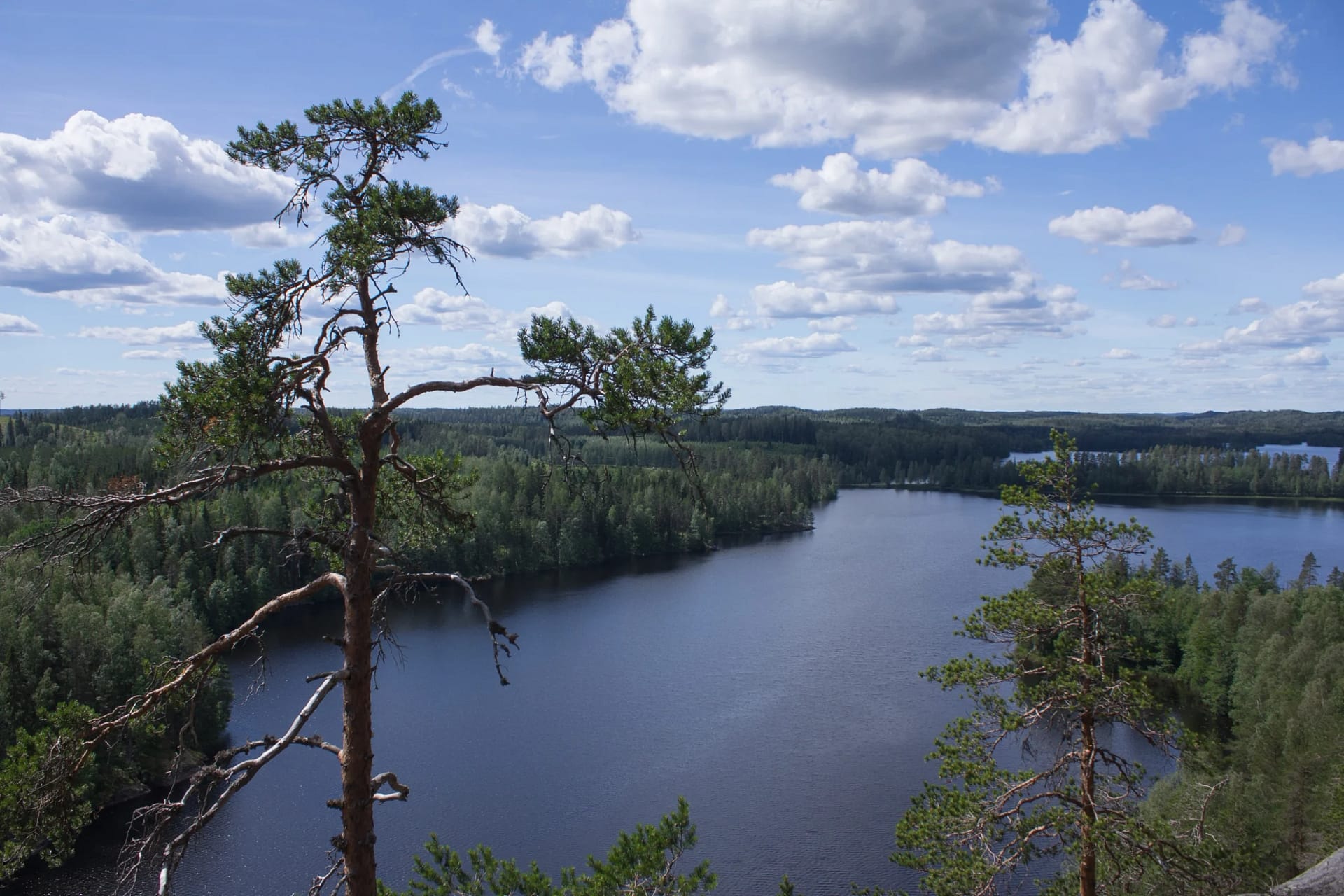 Ympäristöjärjestelmätyö osana jatkuvaa kehittymistä