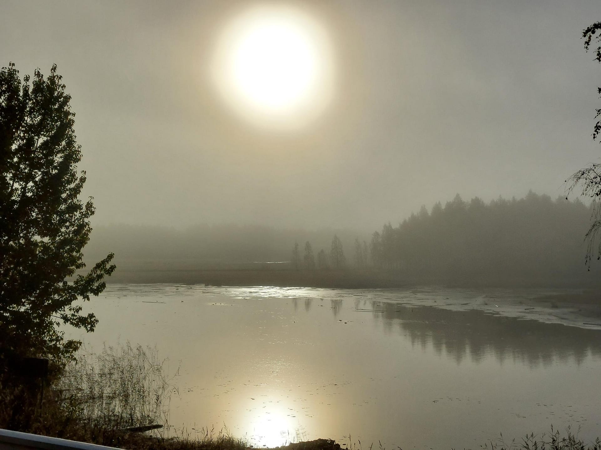 Asukkaiden toive – pizzapäivä