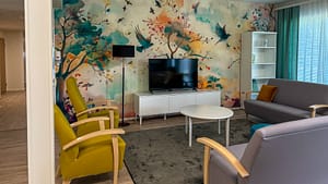 Esperi Hoivakoti Kailinrannan oleskelutila, jossa on televisio ja sohvia.