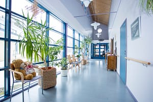 Valoisa käytävä, jossa kasveja ja nalle penkillä.