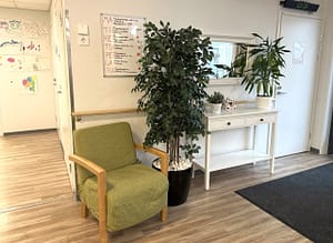 Huone, jossa huonekaluja ja kasveja.