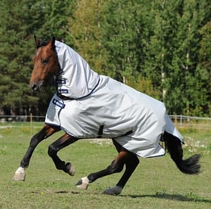 Bucas Sun Shower kaulakappale