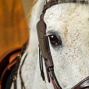 Dyon Blinkers sivusuojat hevosen suitsiin