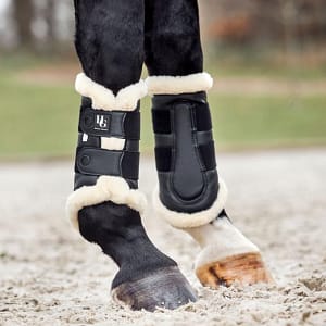 Horse Guard karvasuojat hevoselle mustana