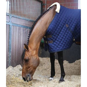 Kentucky 200g talliloimi pehmeällä karvavuorilla