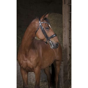 Norton Pro Kankisuitset