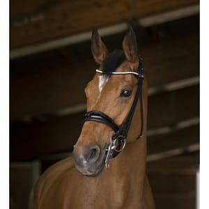 Norton Pro Shiny Kankisuitset