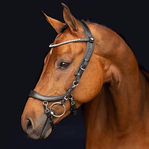 Presteq anatomiset suitset