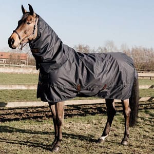 Kentucky Classic sadeloimi hevoselle