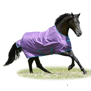 Bucas Freedom Turnout Light Sadeloimi - Ponikoot