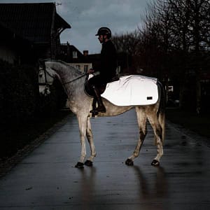 Kentucky reflective ratsastusloimi heijastaa pimeässä