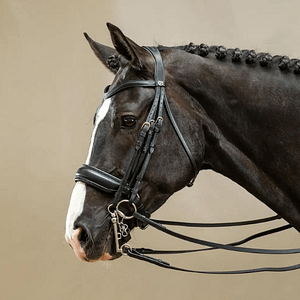 Dyon Working Collection kankisuitset