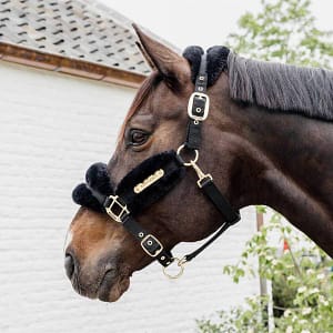 Kentucky Nylon sheepskin soft karvariimu