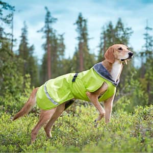 Kevytpomppa koiran takki limen värisenä