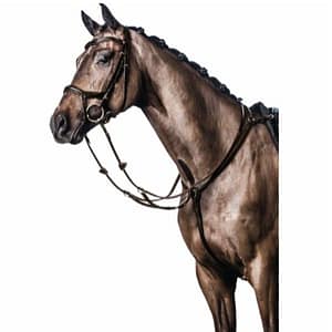 Rintaremmimartingaali hevoselle