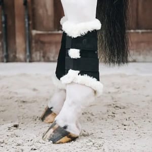 Kentucky mustat karvasuojat hevoselle