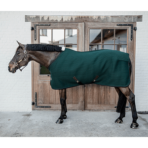 Kentucky 4D Spacer Cooler sheet loimi hevoselle