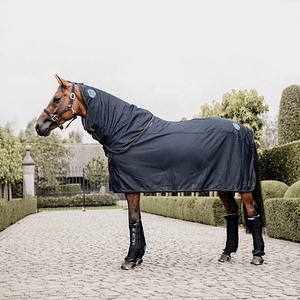 Kentucky Magneettiloimi hevoselle