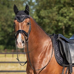 QHP Djune suitset hevoselle