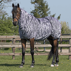 QHP Eczema Zebra ihottumaloimi tuotekuva