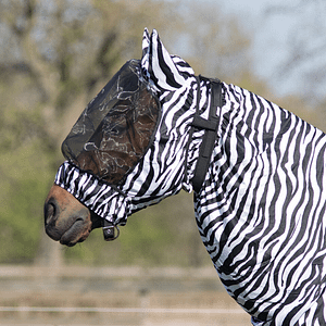 QHP Zebra Eczema ihottumahuppu