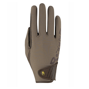 Reockl Muenster beiget ratsastushanskat