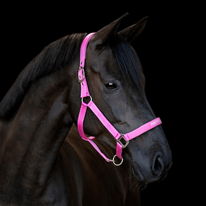 Horse Guard Malva Riimu Pinkki