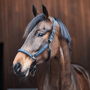 Catago Alea Reflective Heijastava Riimu