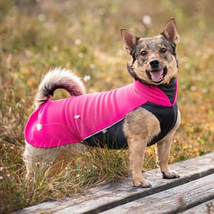 Jumppapomppa Koiran Pinkki