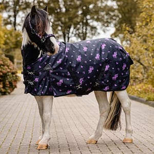 QHP Lize Ulkoloimi Poni