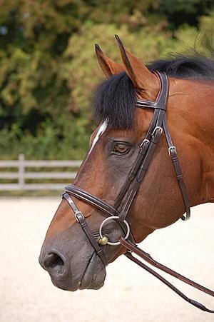 Dyon Working Collection Suitset