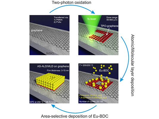 Molekyylykasvatusmenetelmän havainnekuva.