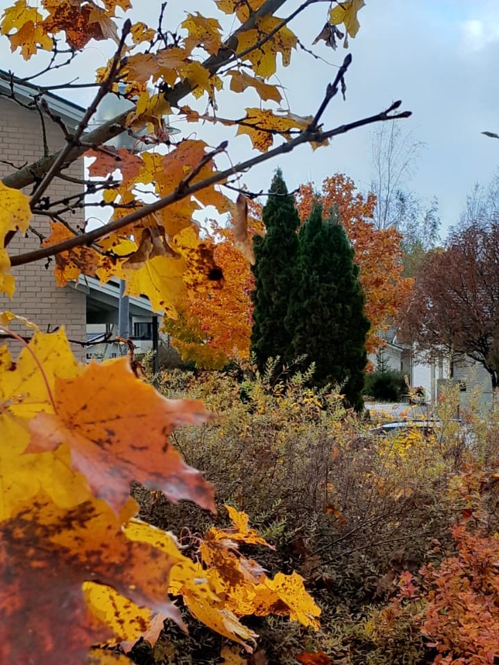 Ulkoilupäivä Jänismäessä