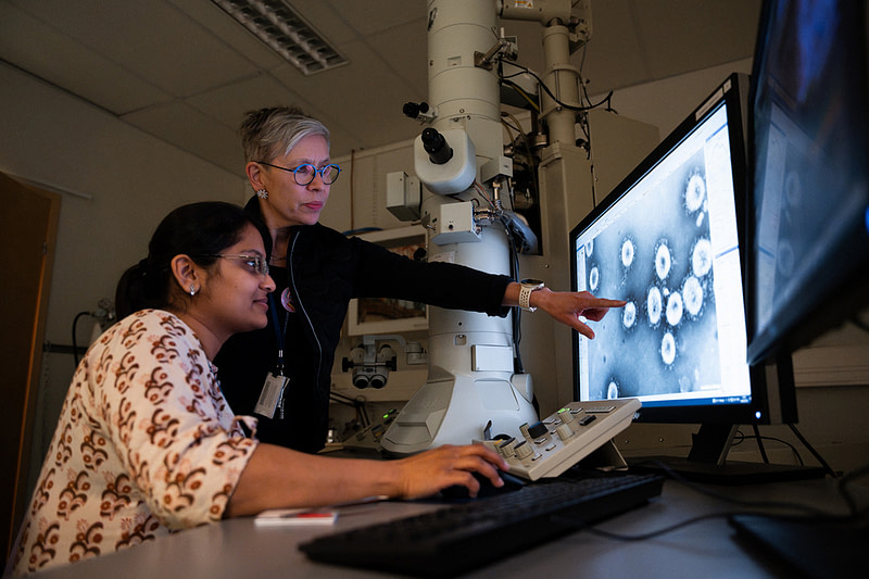 Jyväskylän yliopiston solu- ja molekyylibiologian professori Varpu Marjomäki.